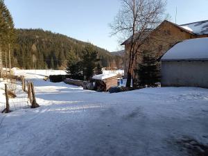 Prodej - jiné, Kořenov, 38 m2