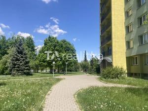 Pronájem bytu 1+kk, Ostrava, Hornopolní, 27 m2