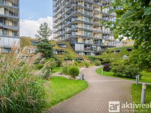 Pronájem bytu 1+kk, Praha - Žižkov, Pitterova, 38 m2