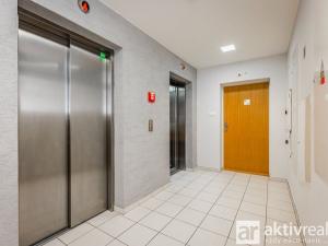 Pronájem bytu 1+kk, Praha - Žižkov, Pitterova, 38 m2