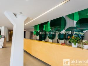 Pronájem bytu 1+kk, Praha - Žižkov, Pitterova, 38 m2