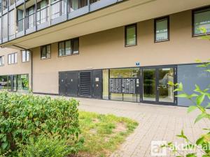 Pronájem bytu 1+kk, Praha - Žižkov, Pitterova, 38 m2