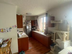 Pronájem bytu 3+kk, Břidličná, Nerudova, 64 m2