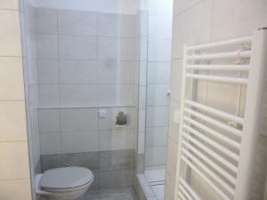Pronájem bytu 1+kk, Děčín - Děčín III-Staré Město, Žerotínova, 22 m2