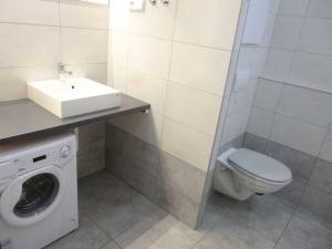 Pronájem bytu 1+kk, Děčín - Děčín III-Staré Město, Žerotínova, 22 m2