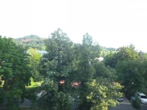 Pronájem bytu 1+kk, Děčín - Děčín III-Staré Město, Žerotínova, 22 m2