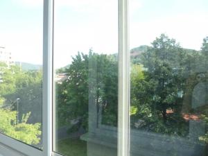 Pronájem bytu 1+kk, Děčín - Děčín III-Staré Město, Žerotínova, 22 m2