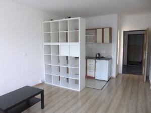 Pronájem bytu 1+kk, Děčín - Děčín III-Staré Město, Žerotínova, 22 m2