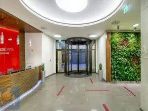 Pronájem kanceláře, Praha - Karlín, Sokolovská, 485 m2