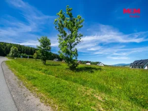 Prodej pozemku pro bydlení, Červená Voda, 1251 m2