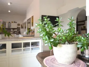 Prodej ubytování, Jiřice u Miroslavi, 662 m2