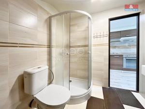 Pronájem bytu 2+1, Děčín - Děčín VIII-Dolní Oldřichov, Teplická, 52 m2