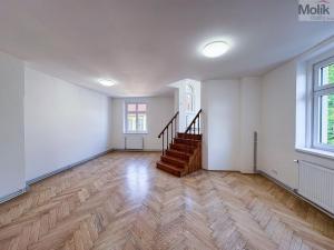 Pronájem bytu 2+1, Ústí nad Labem - Ústí nad Labem-centrum, Horova, 66 m2