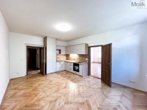 Pronájem bytu 2+1, Ústí nad Labem - Ústí nad Labem-centrum, Horova, 66 m2