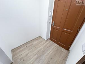 Pronájem bytu 2+1, Ústí nad Labem - Ústí nad Labem-centrum, Horova, 66 m2