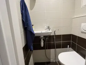 Pronájem bytu 3+1, Olomouc - Nová Ulice, Kmochova, 75 m2