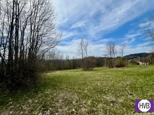 Pronájem pozemku pro bydlení, Velké Hamry, 4241 m2