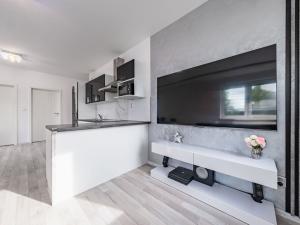 Pronájem bytu 4+kk, Mladá Boleslav - Mladá Boleslav III, Zalužanská, 96 m2