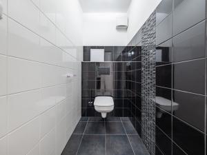 Pronájem bytu 4+kk, Mladá Boleslav - Mladá Boleslav III, Zalužanská, 96 m2