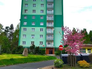 Prodej bytu 2+1, Rotava, Sídliště, 51 m2