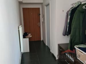 Pronájem bytu 2+kk, Opava - Předměstí, Palackého, 61 m2