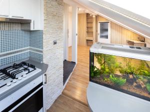 Pronájem bytu 2+kk, Opava - Předměstí, Mánesova, 48 m2