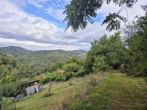 Prodej pozemku, Milešov - Přední Chlum, 544 m2