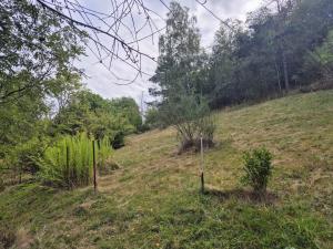Prodej pozemku, Milešov - Přední Chlum, 544 m2