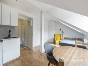 Pronájem bytu 1+kk, Praha - Smíchov, Holečkova, 35 m2