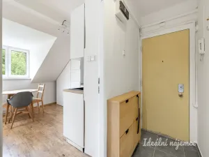 Pronájem bytu 1+kk, Praha - Smíchov, Holečkova, 35 m2