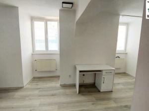 Pronájem bytu 1+kk, Cheb, Dlouhá, 42 m2