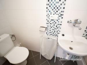 Pronájem bytu 1+1, Brno - Husovice, Horymírova, 45 m2