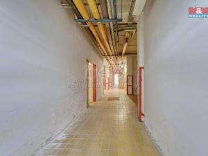Pronájem skladu, Plzeň, Sousedská, 7 m2