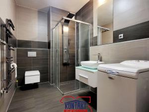 Pronájem bytu 1+kk, České Budějovice - České Budějovice 2, 46 m2