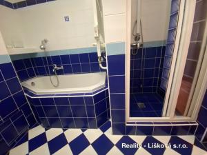 Pronájem bytu 2+1, Ústí nad Labem, Slavíčkova, 62 m2