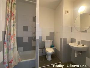 Pronájem bytu 1+1, Ústí nad Labem, Nová, 41 m2