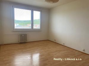 Pronájem bytu 1+1, Ústí nad Labem, Nová, 41 m2