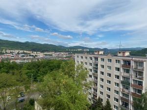 Pronájem bytu 1+1, Ústí nad Labem, Nová, 41 m2