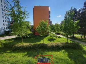 Pronájem bytu 1+1, České Budějovice, Prachatická, 32 m2