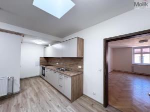 Pronájem bytu 2+1, Ústí nad Labem - Ústí nad Labem-centrum, Horova, 68 m2