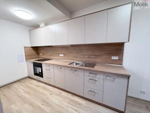 Pronájem bytu 2+1, Ústí nad Labem - Ústí nad Labem-centrum, Horova, 68 m2