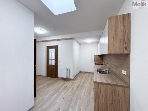Pronájem bytu 2+1, Ústí nad Labem - Ústí nad Labem-centrum, Horova, 68 m2