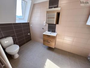 Pronájem bytu 2+1, Ústí nad Labem - Ústí nad Labem-centrum, Horova, 68 m2