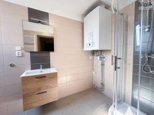Pronájem bytu 2+1, Ústí nad Labem - Ústí nad Labem-centrum, Horova, 68 m2