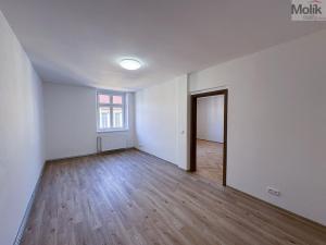 Pronájem bytu 2+1, Ústí nad Labem - Ústí nad Labem-centrum, Horova, 68 m2