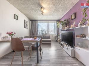 Prodej bytu 2+kk, Loděnice, Za GZ, 39 m2