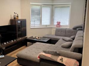 Pronájem bytu 2+1, Ostrava - Bělský Les, Horní, 52 m2