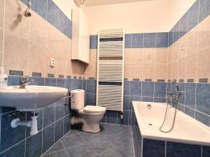 Pronájem bytu 1+kk, Olomouc, Na Tabulovém vrchu, 42 m2