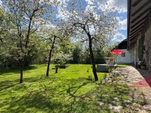 Prodej chalupy, Rejštejn - Radešov, 220 m2