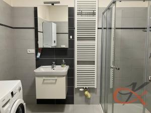 Pronájem bytu 1+kk, Prostějov, Winklerova, 39 m2